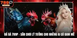 Đá gà 789P