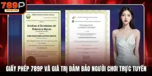 Giấy phép 789P